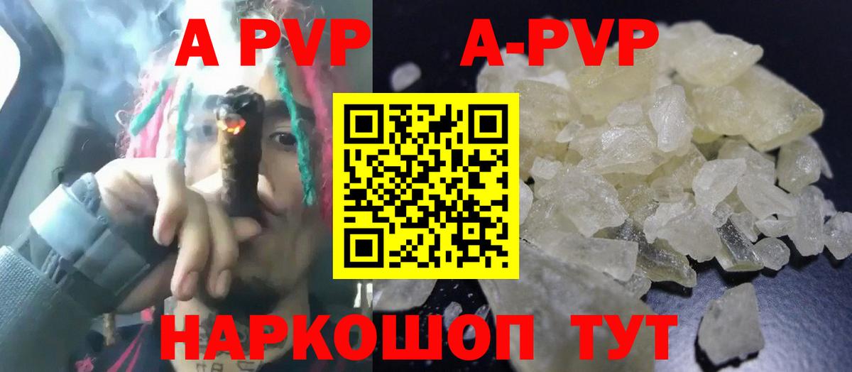 Alfa_PVP СК Белово