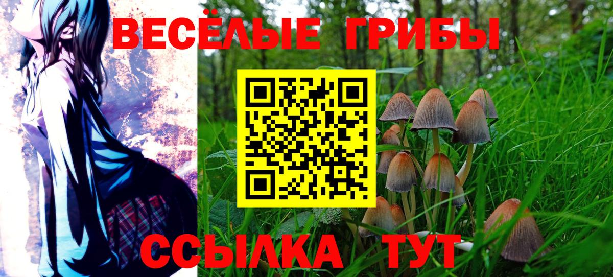 Псилоцибиновые грибы мицелий  Вход с VPN  Белово 