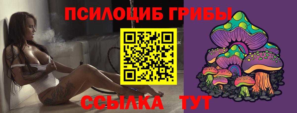 Псилоцибиновые грибы MAGIC MUSHROOMS Белово